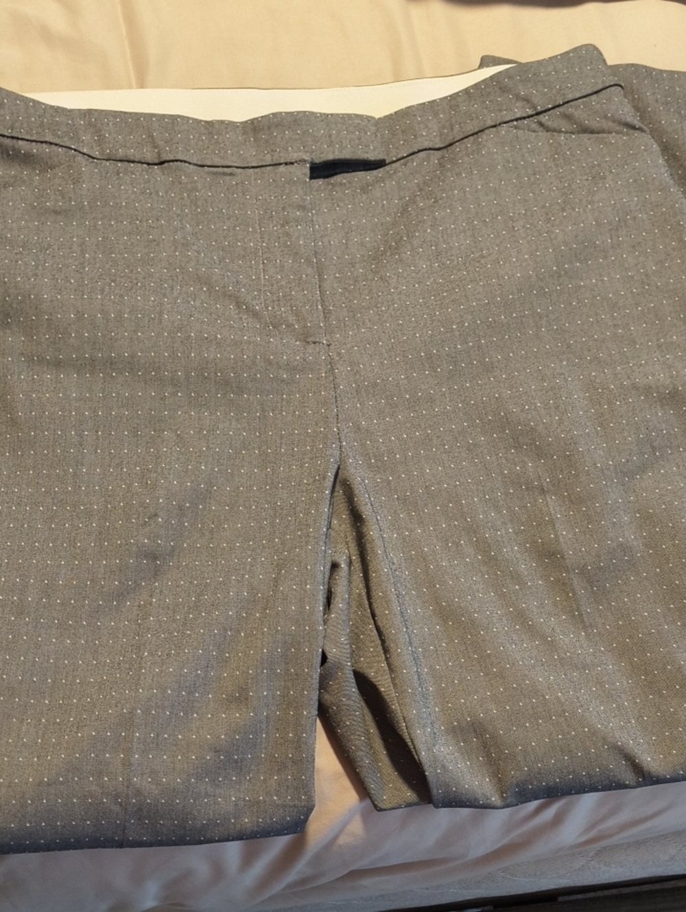 Lane Bryant Women Light Gray Pin Dot Dress Pants